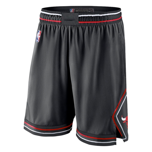 Баскетбольные шорты Nike Chicago Bulls NBA