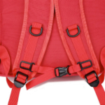 Баскетбольный рюкзак Nike-купить-в time2win.ru