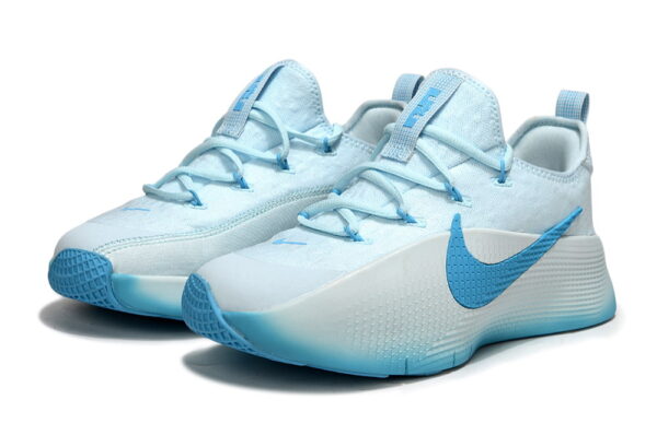 Nike LeBron TR 1-купить в-time2win.ru