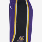шорты-jordan-нба-swingman-lakers-statet-edition-2020-fPhrDg (1)
